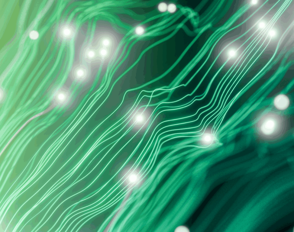 Precision AI for every stakeholder